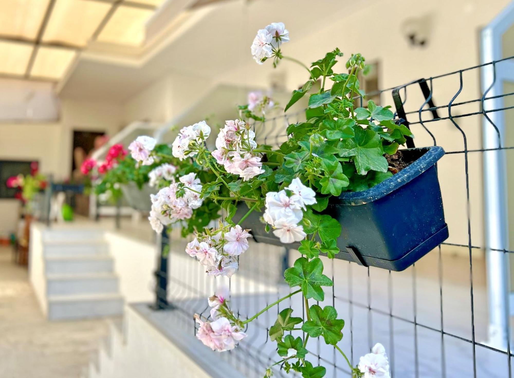 Guest House Julia Stavros  Exterior foto