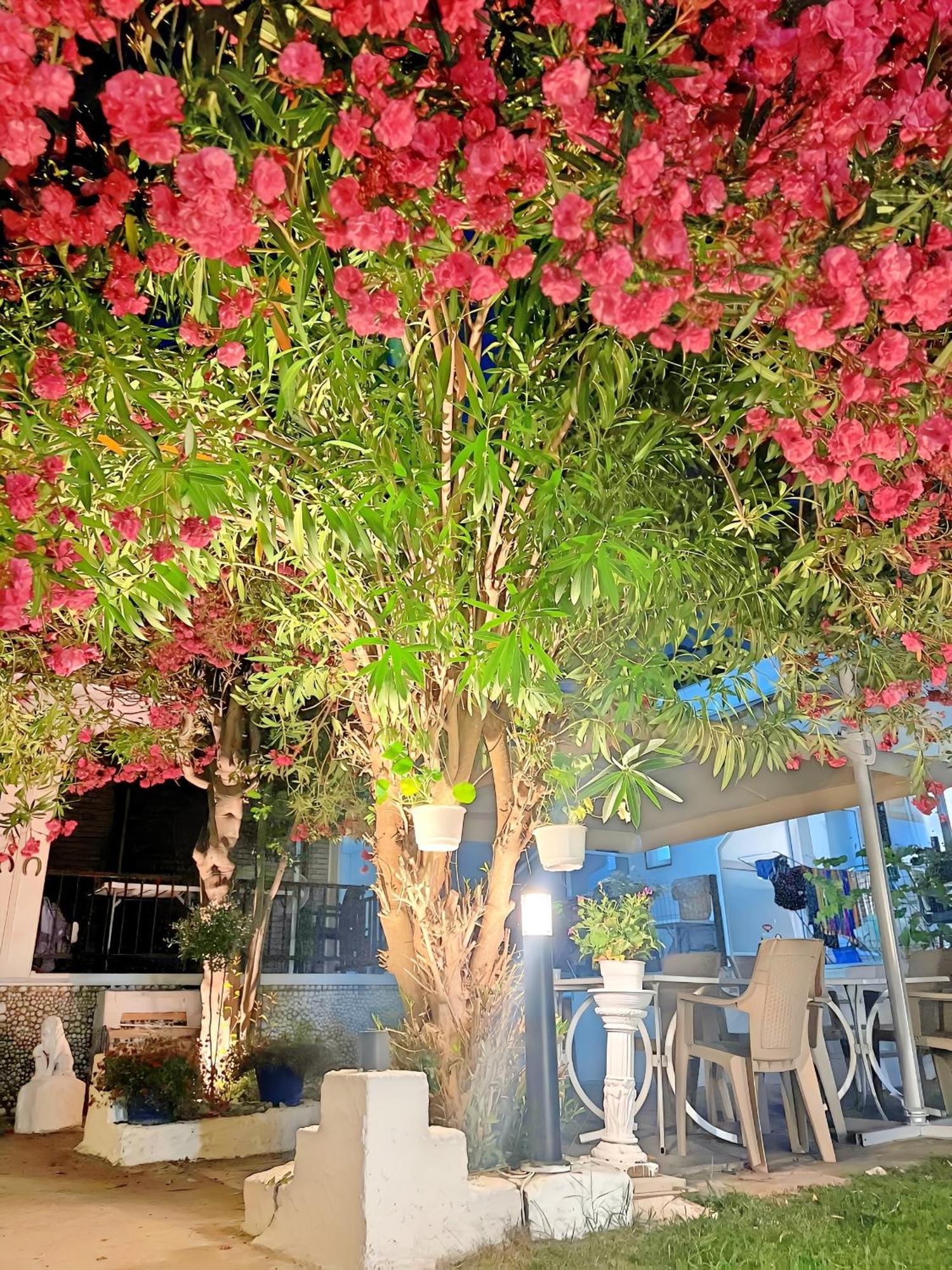 Guest House Julia Stavros  Exterior foto