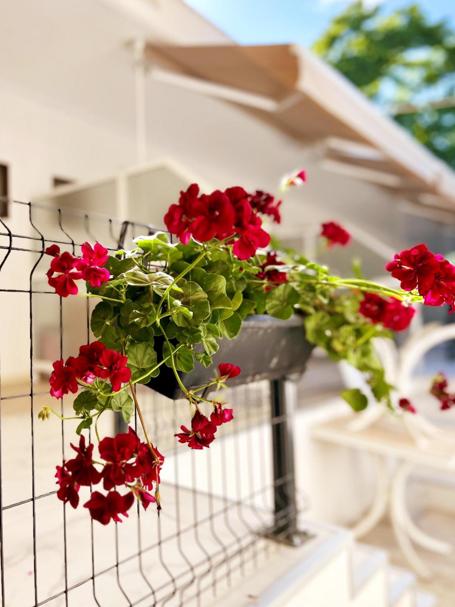 Guest House Julia Stavros  Exterior foto